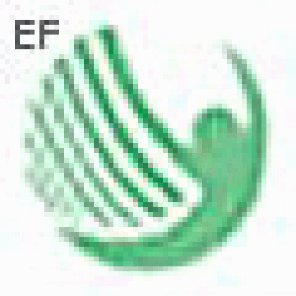 2008第三屆義烏體育用品及健身器材采購(gòu)交易會(huì)