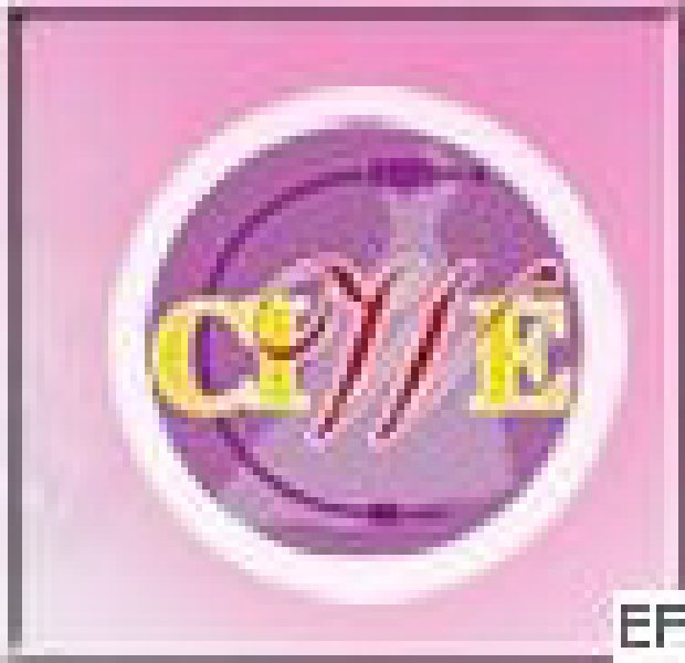 第十三屆中國上海國際婚紗攝影器材展覽會(huì)