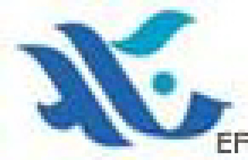 2008國際電力電工及高低壓電器(義烏)采購交易會