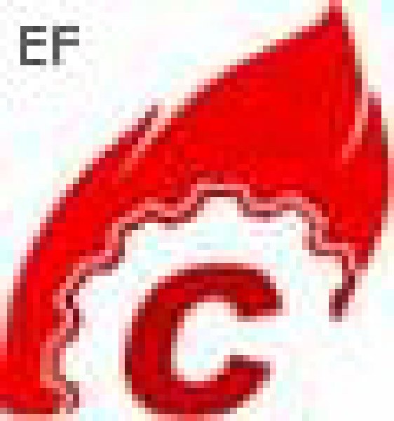 第十屆中國國際水泥技術(shù)及裝備展覽會(huì)