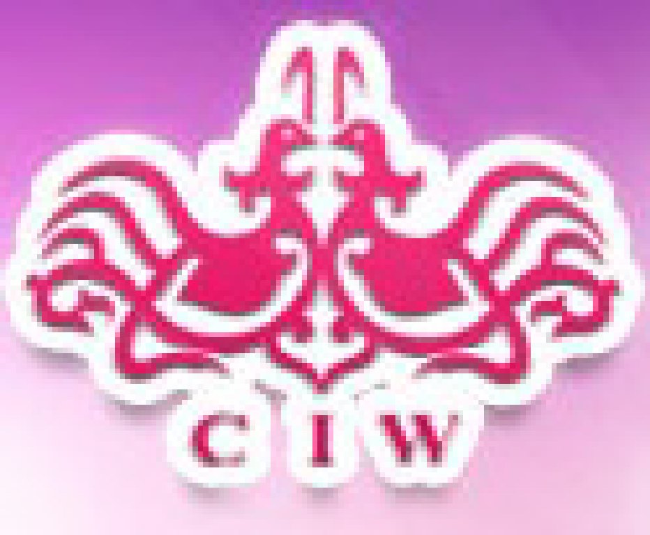 2012春季中國(上海)國際婚博會(huì)