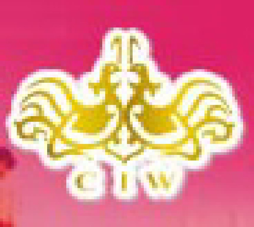 2011春季中國(上海)國際婚博會(huì)