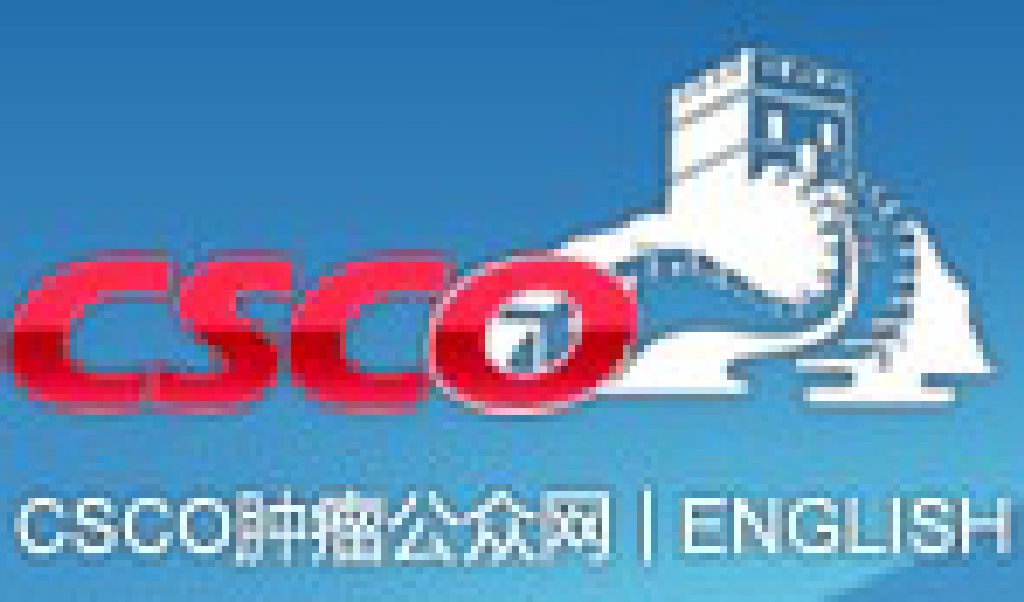 2011第十四屆全國臨床腫瘤學(xué)大會(huì)暨2011年CSCO學(xué)術(shù)年會(huì)