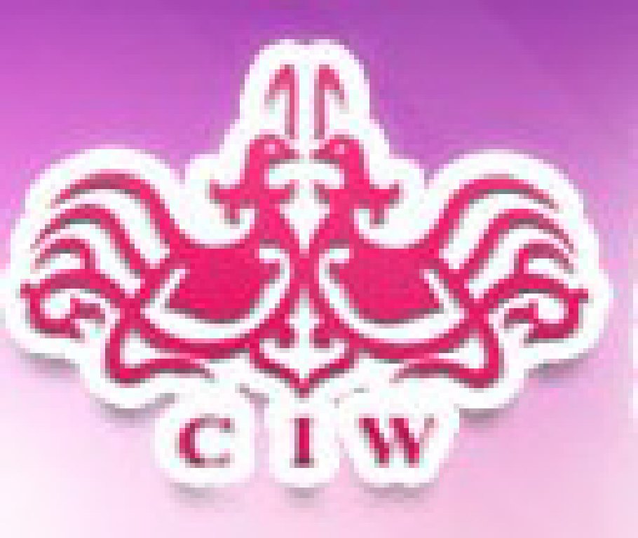 2011冬季中國(北京)婚博會(huì)